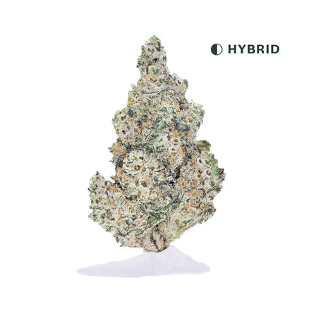 INDOOR PINK RUNTZ HYBRID THCA FLOWER