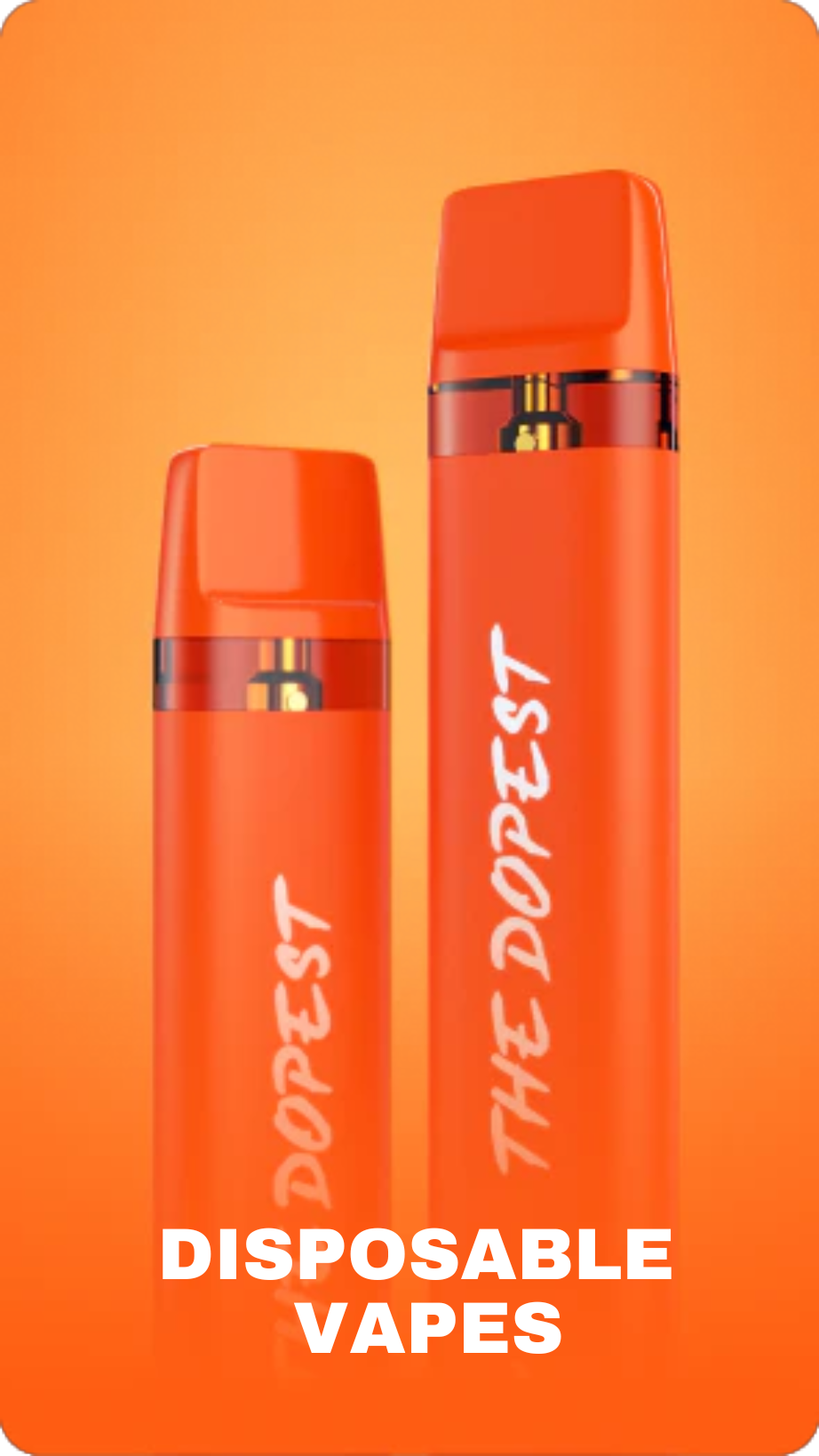 DISPOSABLE  VAPES